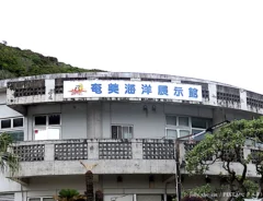 奄美海洋展示館
