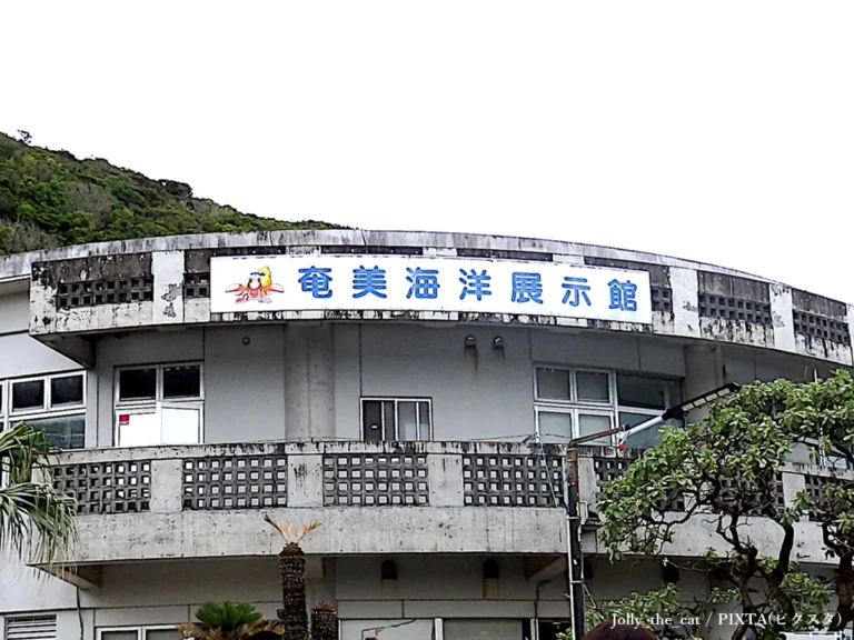 奄美海洋展示館