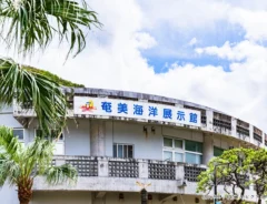 奄美海洋展示館