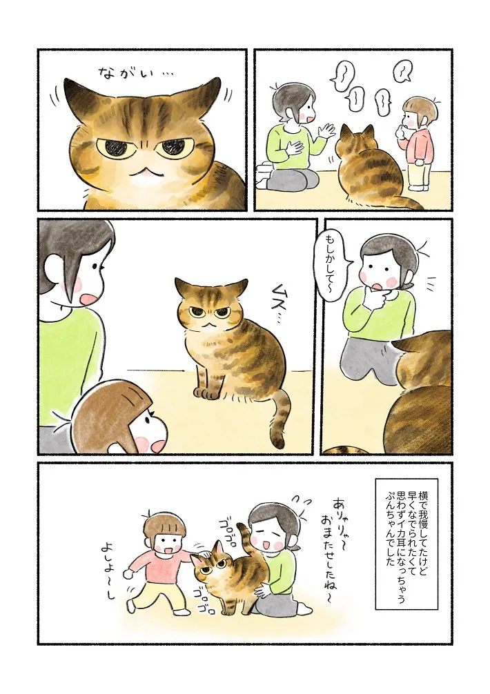 山麦まくらさんのエッセイ漫画の画像