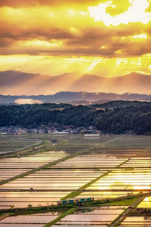 雨上がりの夕焼けと田んぼの風景写真