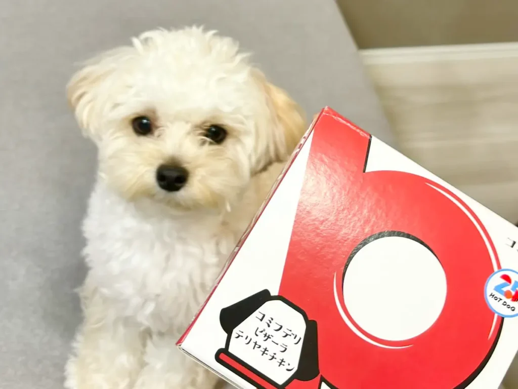 犬用ピザを食べた犬の写真