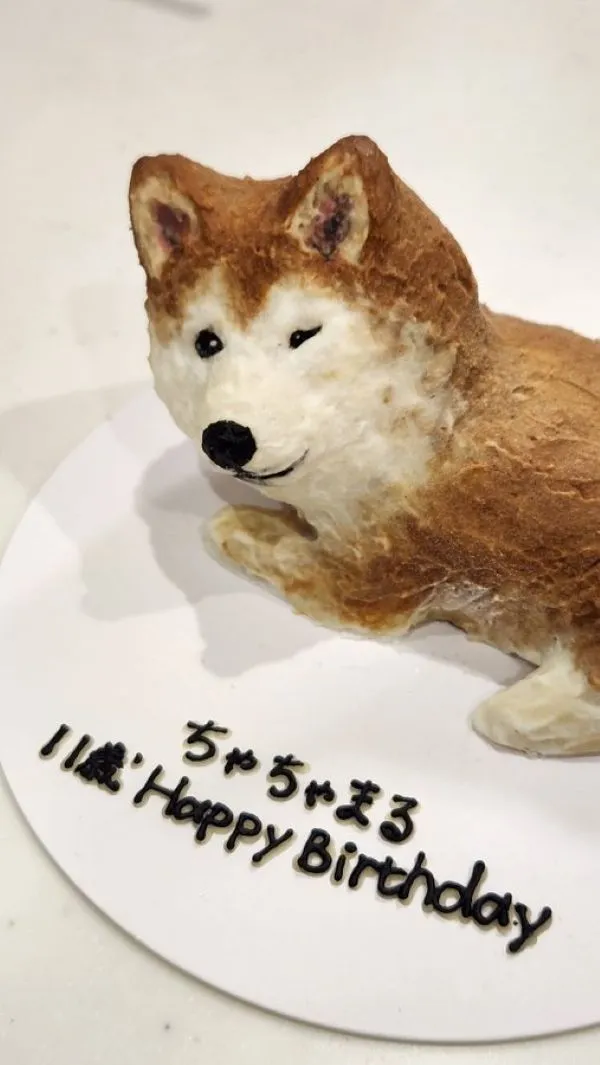 柴犬を模したケーキの写真