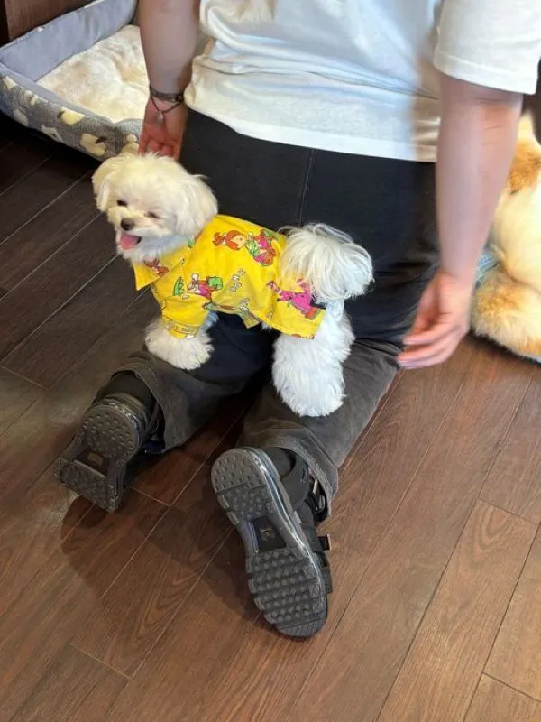 店員さんの脚の上に乗った犬の写真