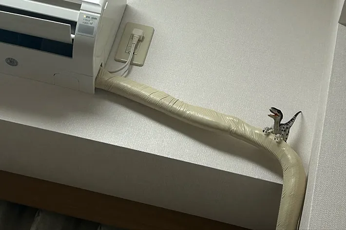 挟まれた恐竜の写真