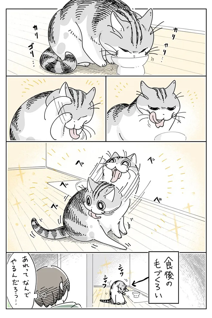 キュルZさんの漫画画像