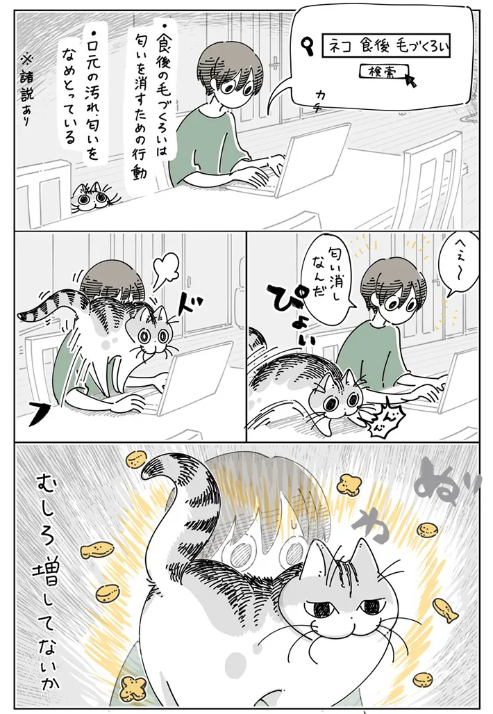 キュルZさんの漫画画像