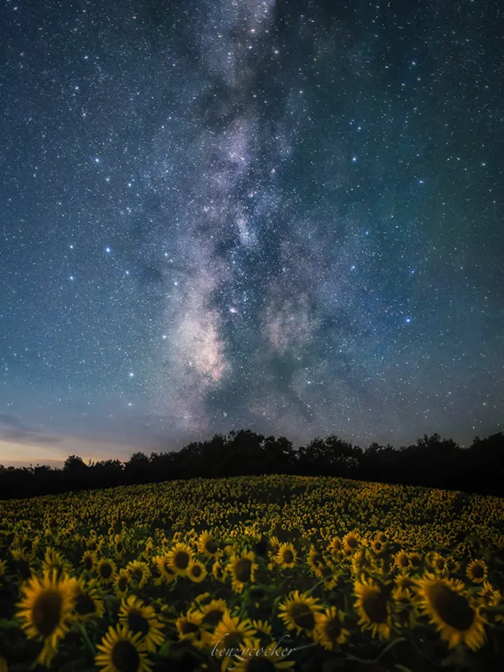 ベンジーさんが夏の夜に撮影した、『三ノ倉高原花畑』の写真