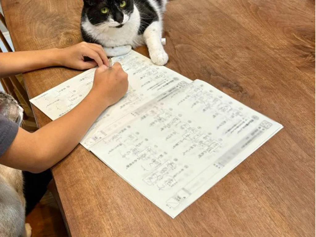 夏休みの宿題を進める小学生を取り囲む猫の画像