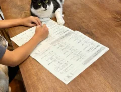夏休みの宿題を進める小学生を取り囲む猫の画像
