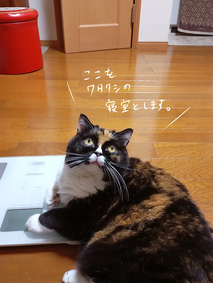 かんさびさんのエッセイ漫画の画像