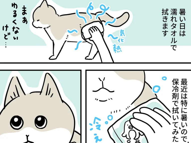 み・ちこさんのエッセイ漫画の画像