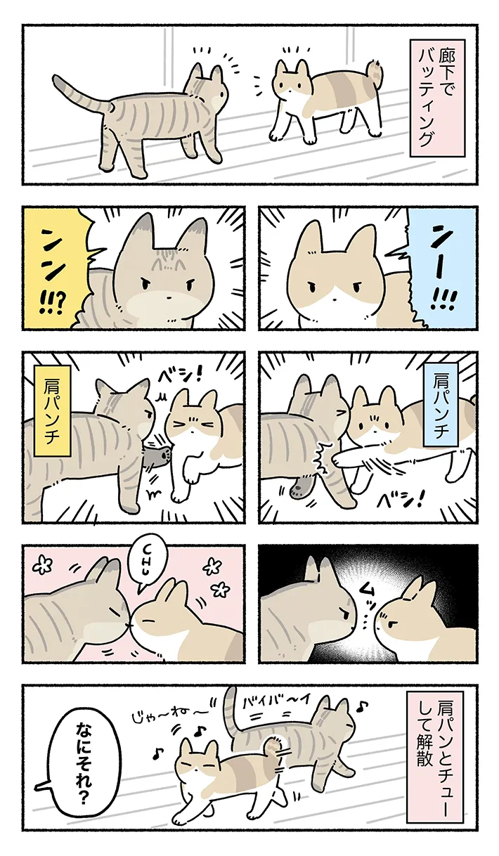 AKRさんのエッセイ漫画の画像