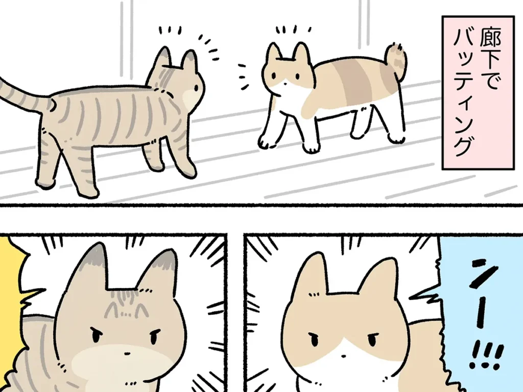 AKRさんのエッセイ漫画の画像