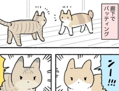 AKRさんのエッセイ漫画の画像