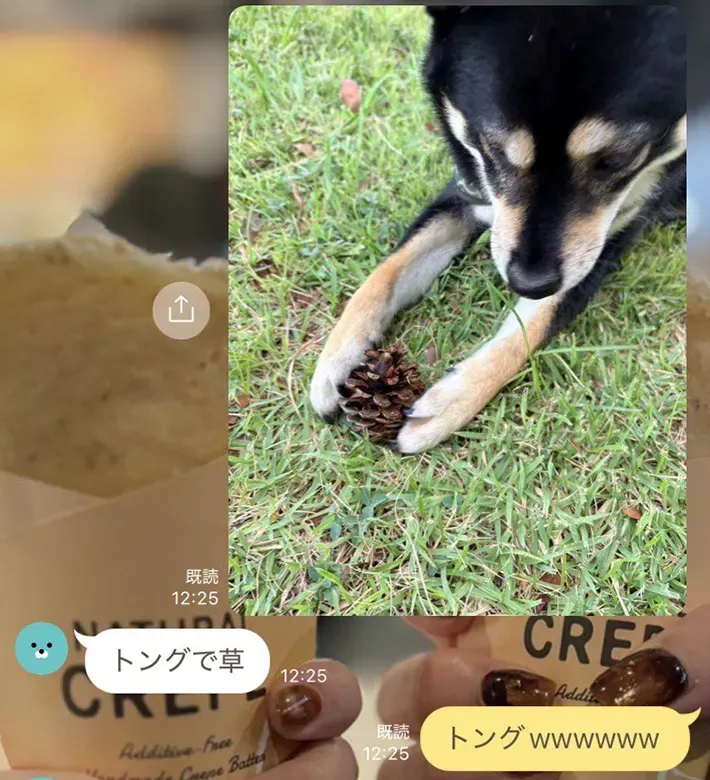 飼い主さんと友達の『LINE』スクリーンショット画像