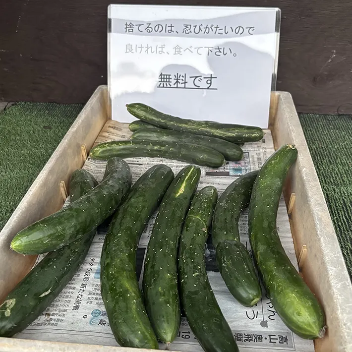 無人販売所で無料で提供されているキュウリの画像