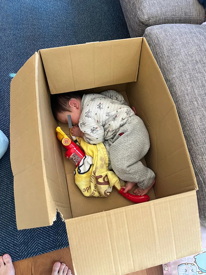 箱に入る男の子の写真