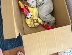 箱に入る男の子の写真