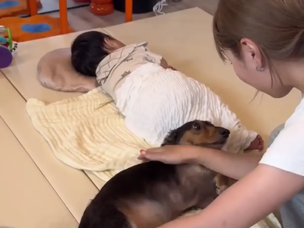 犬と赤ちゃんと母親の写真
