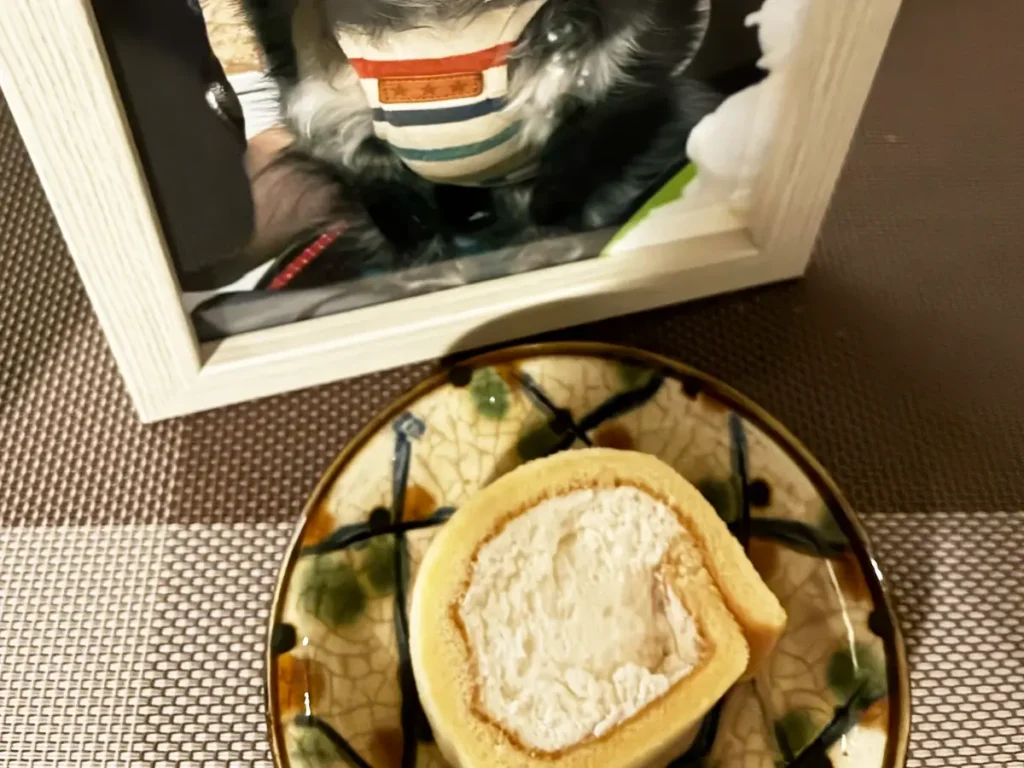 チワワの遺影とお供え物のケーキの写真
