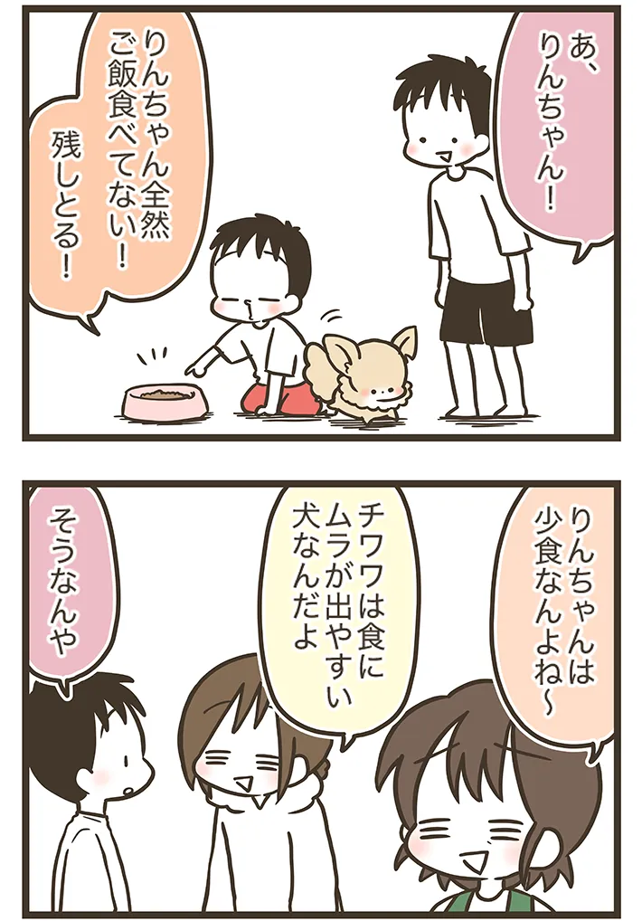 なおたろーさんの連載漫画『おかんとわんこ』の画像