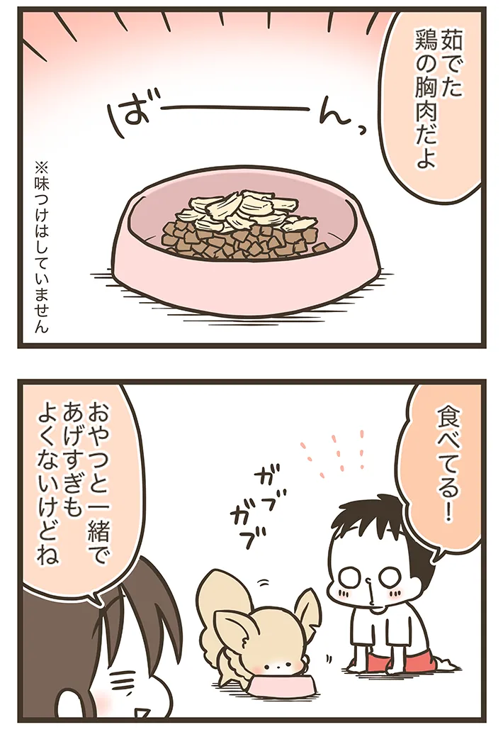 なおたろーさんの連載漫画『おかんとわんこ』の画像