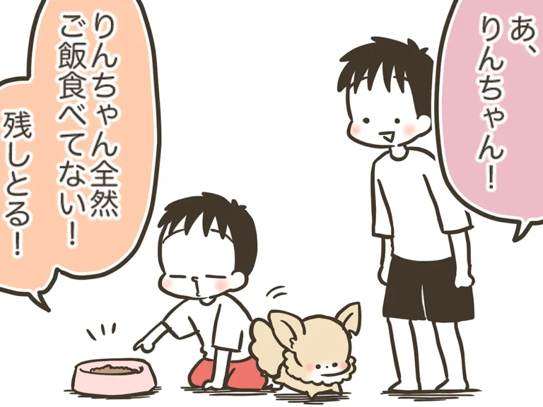 なおたろーさんの連載漫画『おかんとわんこ』の画像