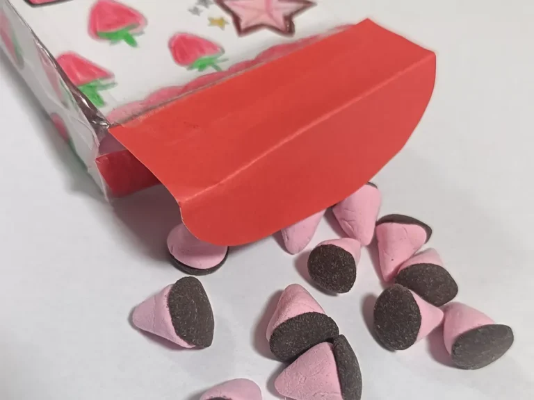 小4娘が作った『アポロ』の画像