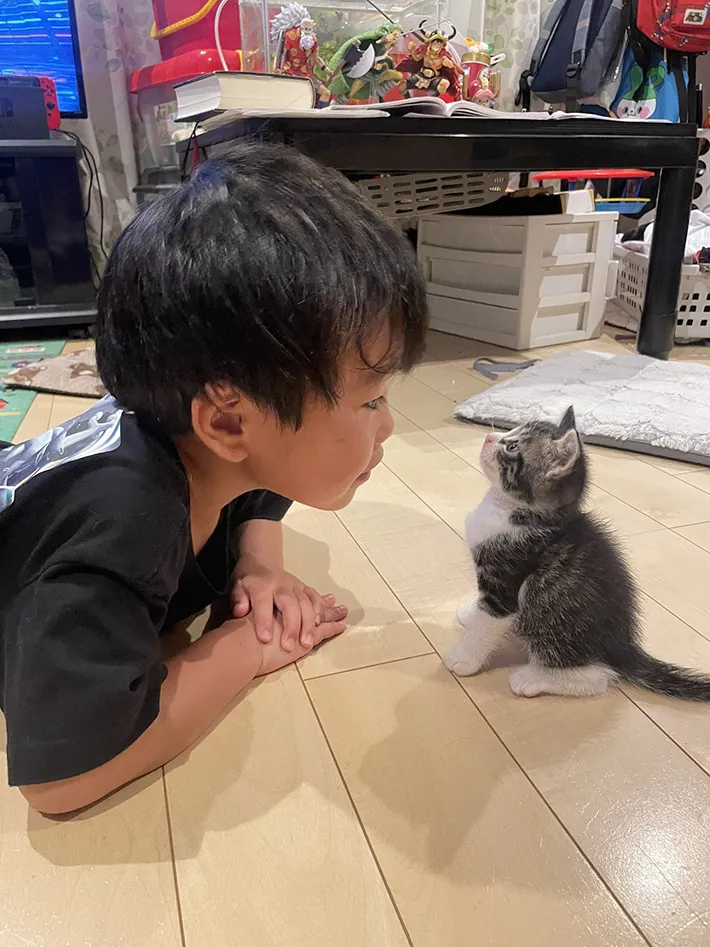 息子と猫の写真