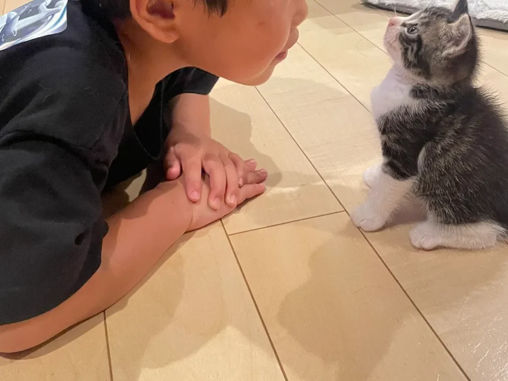 息子と猫の写真