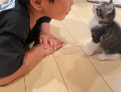 息子と猫の写真