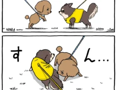 おのあまねさんの漫画の画像