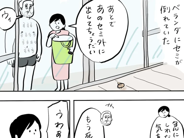 しばひろさんのエッセイ漫画の画像