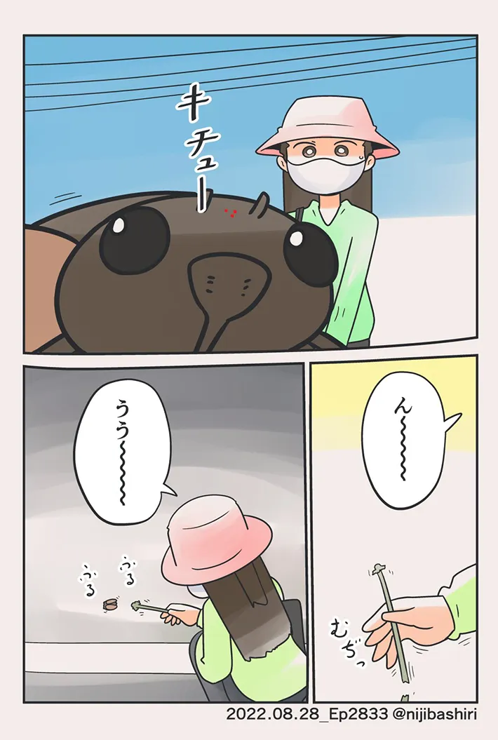 虹走さんのエッセイ漫画の画像