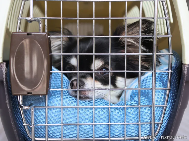 ケージに入った犬の画像