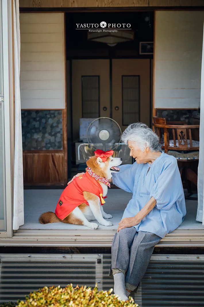 YASUTOさんが撮影した柴犬の福ちゃんと92歳の祖母の画像