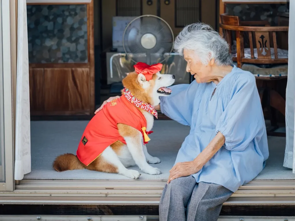 YASUTOさんが撮影した柴犬の福ちゃんと92歳の祖母の画像