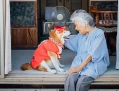 YASUTOさんが撮影した柴犬の福ちゃんと92歳の祖母の画像