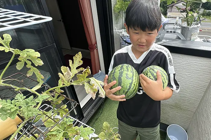 スイカを持つ子供の写真