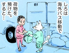 五箇野人さんの連載漫画『一匹旅狼の世界あるき。』第10話の画像