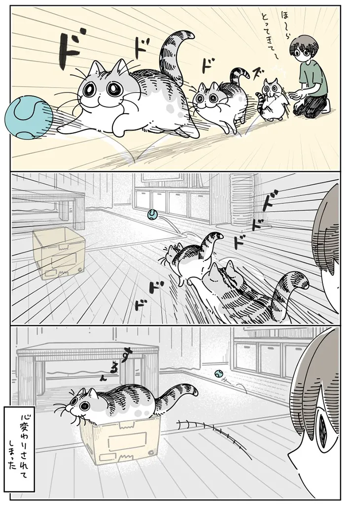 キュルZさんの漫画画像