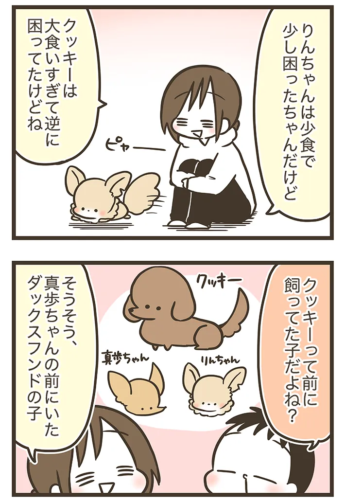 なおたろーさんの連載漫画『おかんとわんこ』第4章その3の画像