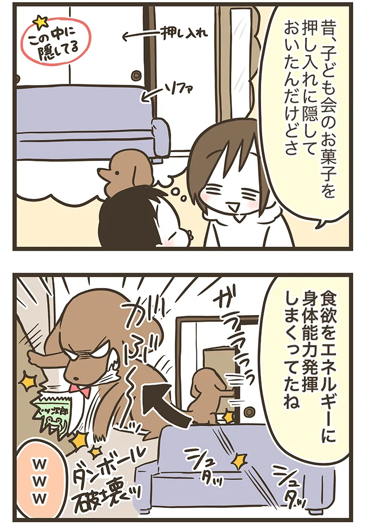 なおたろーさんの連載漫画『おかんとわんこ』第4章その3の画像
