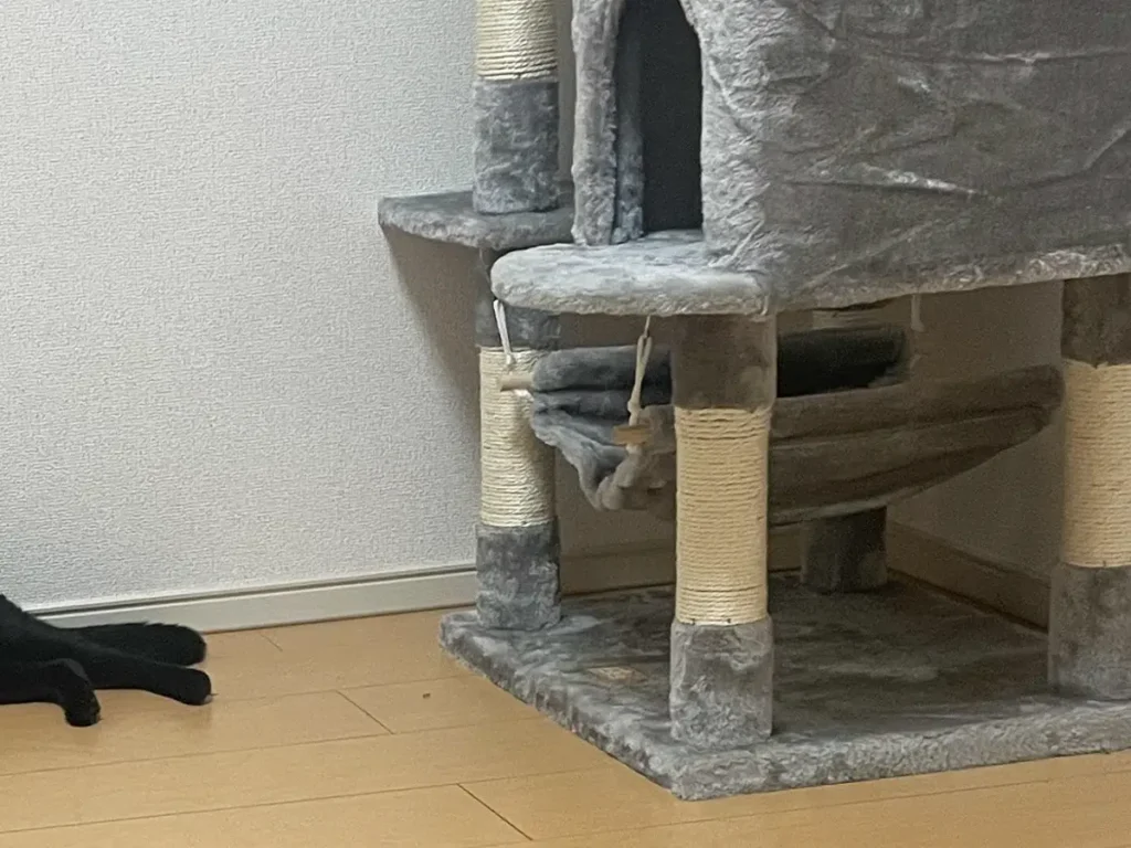 キャットタワーの隣で床に寝そべる猫の写真