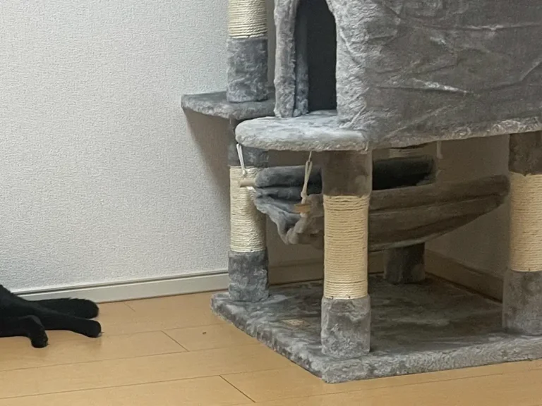 キャットタワーの隣で床に寝そべる猫の写真
