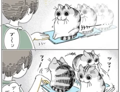 キュルZさんの漫画画像