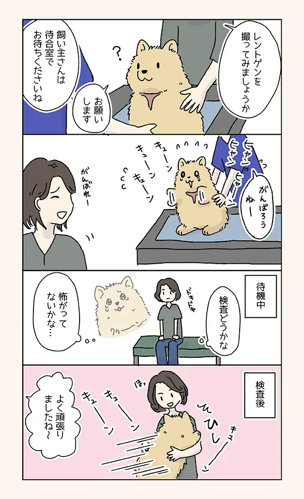 動物病院の犬あるあるの漫画