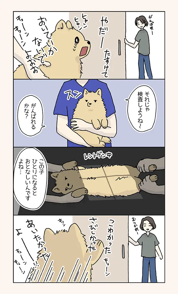 動物病院の犬あるあるの漫画