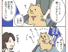 動物病院の犬あるあるの漫画